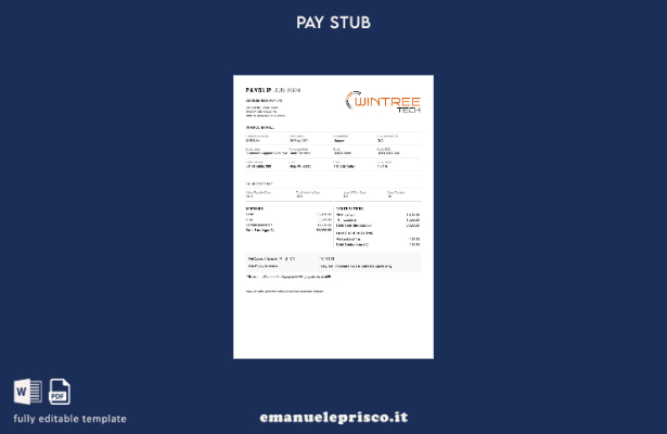 modello di busta paga Wintree Tech in stile verificato